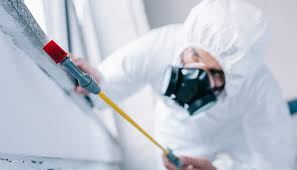 Best Pest Control for Hotels  in Holbrook, AZ